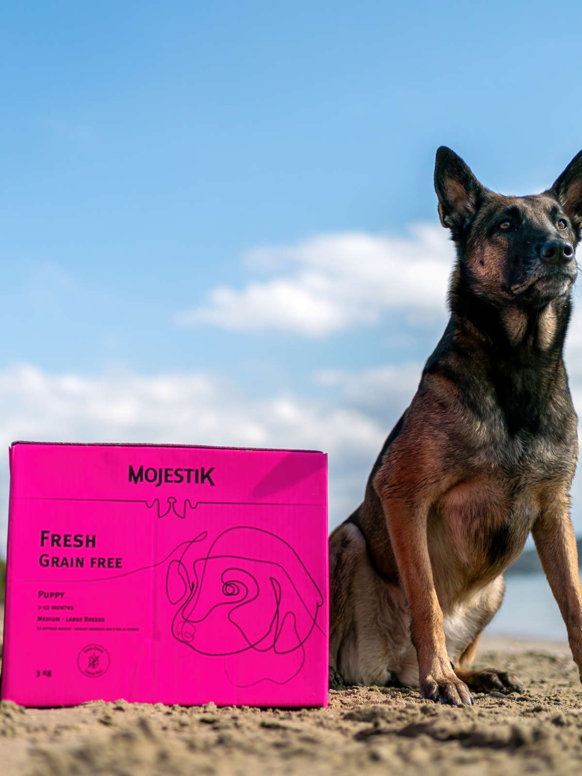 Ας γνωριστούμε