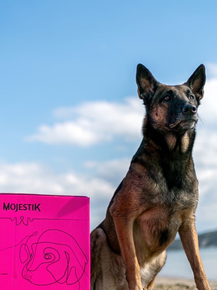 Ας γνωριστούμε