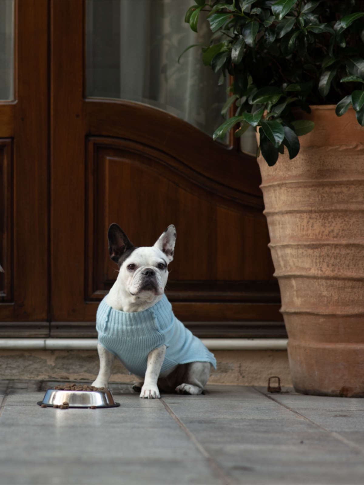 Γιατί να επιλέξω