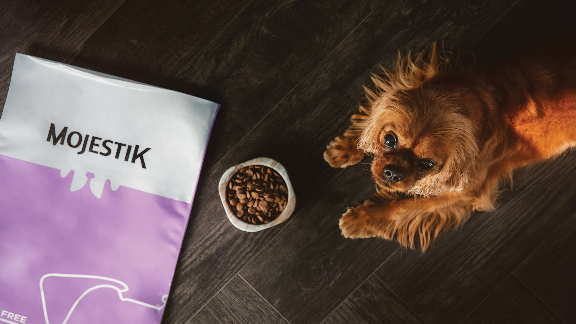 Οδηγός επιλογής